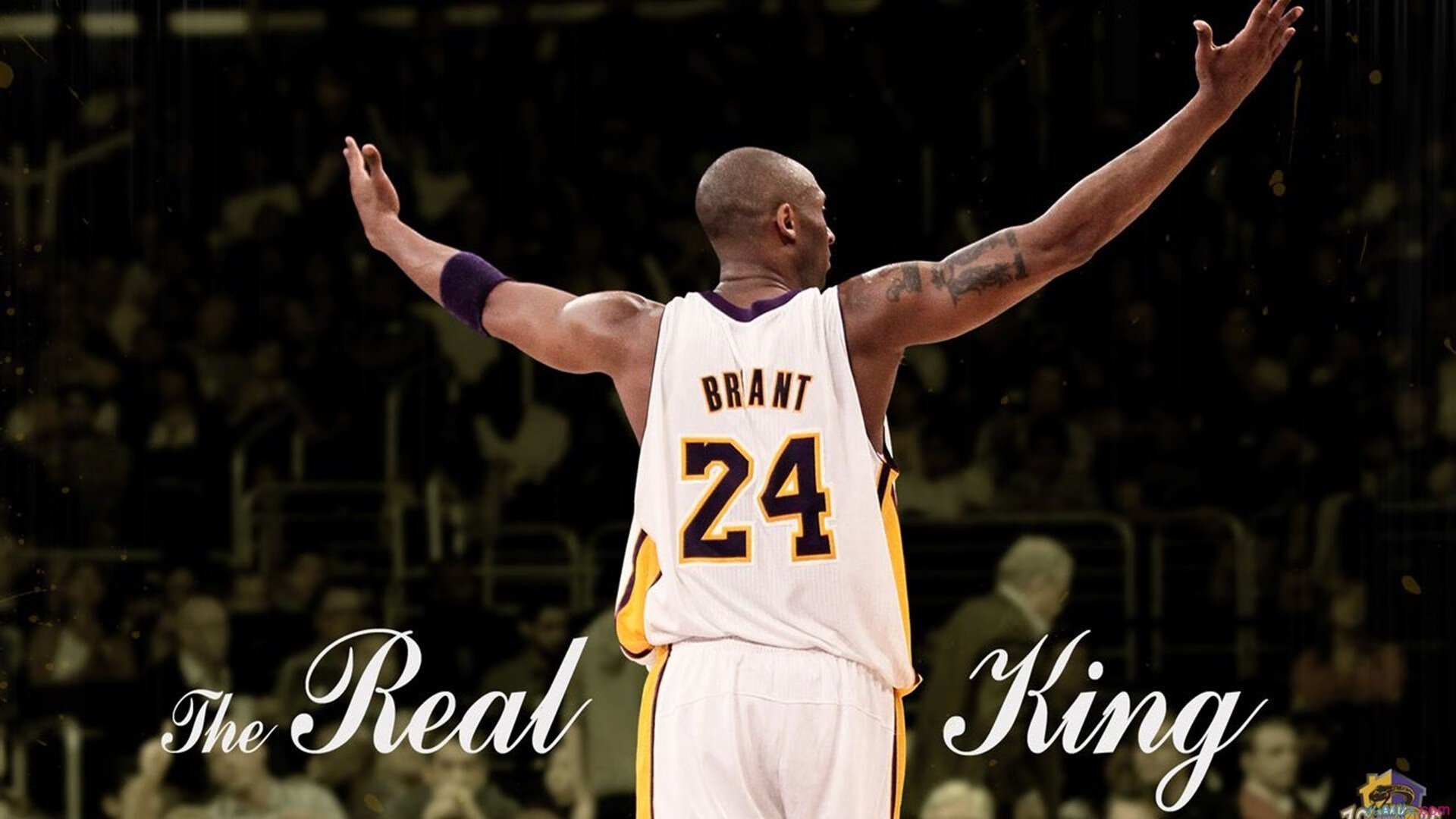 开云下载-猛龙全面压制黄蜂，东契奇成为关键先生